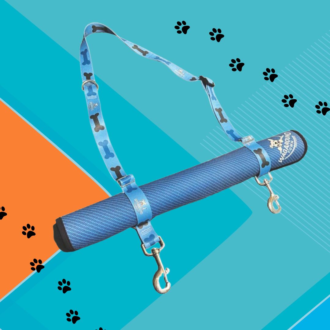 Dog Travel Mat and Carry Leash Combo