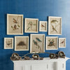 Cottagecore Bird Illustration and Nest Art Collection (Set of 9)