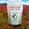 Crimson Clover, Over & Over (Trifolium Incarnatum) Seed - 1/2lb - Covers 500sqft