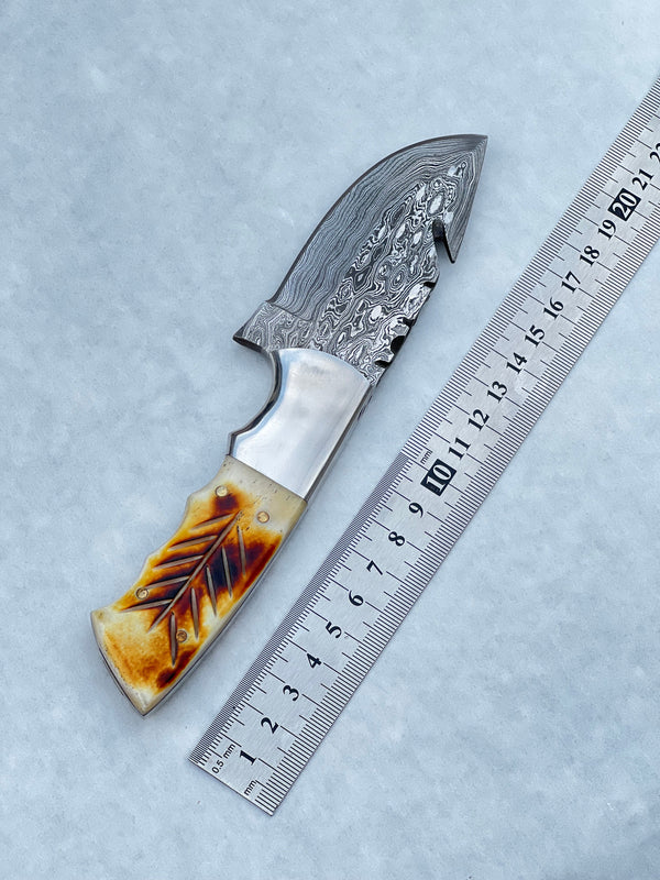 Damascus Steel Fixed Blade Knife with Camel Bone & Rosewood Handle - 7.5