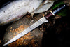 Handmade Damascus Fillet Knife – 13” Buffalo Horn, Rosewood & Brass Handle with Leather Sheath