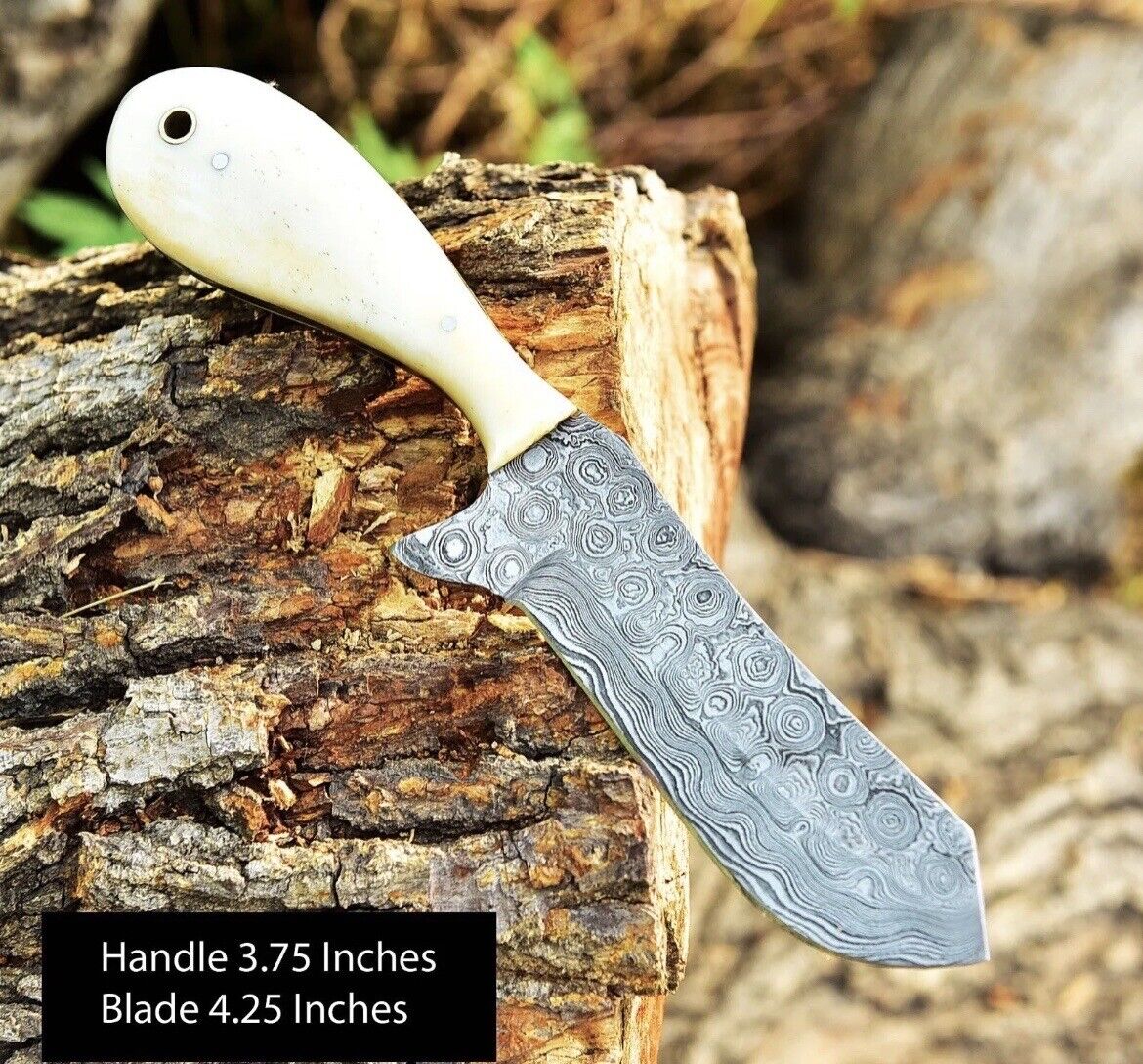 Gareth Bull Shamwari Inspired – 8