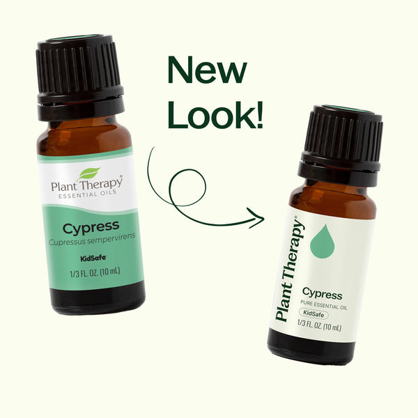 Cypress Essential Oil
