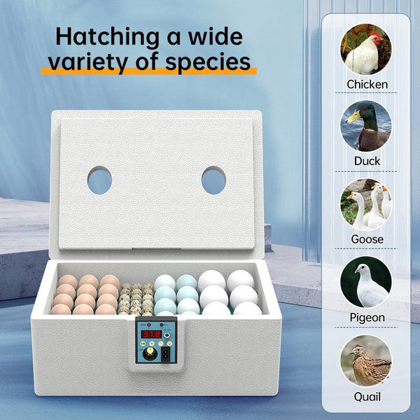 24 - hr Thermostatic Small Poultry Incubator. Biomimetic Waterbed. Auto & Smart. For Chick, Duck & Goose Eggs
