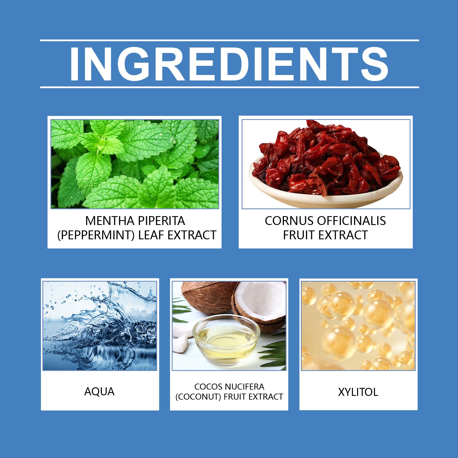 Dental Mouthwash, A Refreshing Minty Mouthwash With Gentle Ingredients To Clean Daily Dental Care