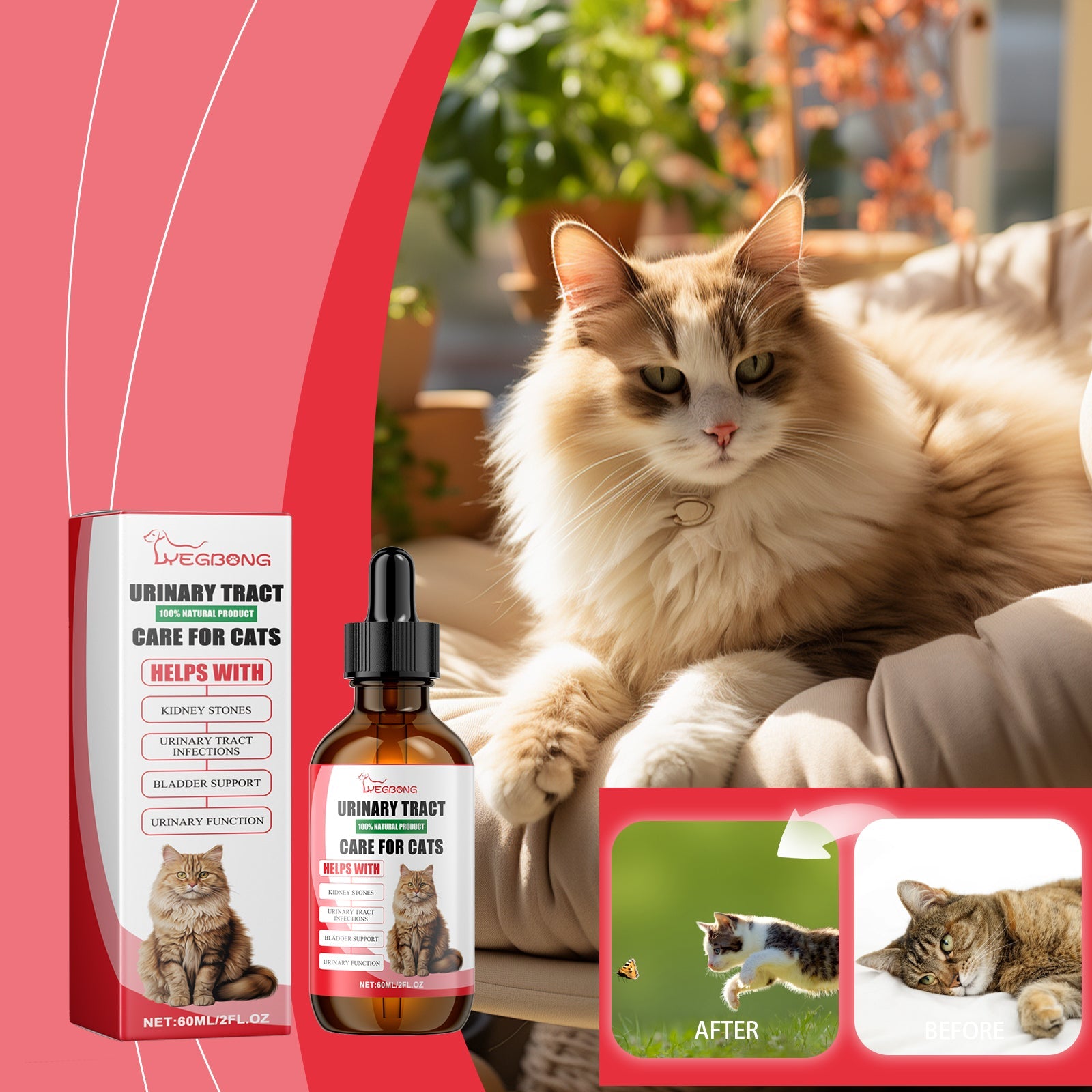 Pet Dietary Supplement, Take Care Of The Pet Body Discomfort Cat To Absorb Nutritional Supplements
