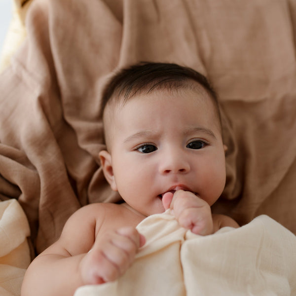 Muslin Swaddle Blankets - Soft Breathable Baby Swaddle Wrap, Bamboo Viscose & Cotton Receiving Blankets for Newborns, 2-Pack