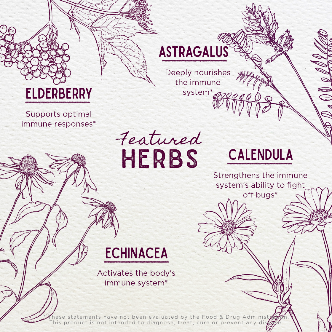 Illustration of herbs with their names and benefits on a light background