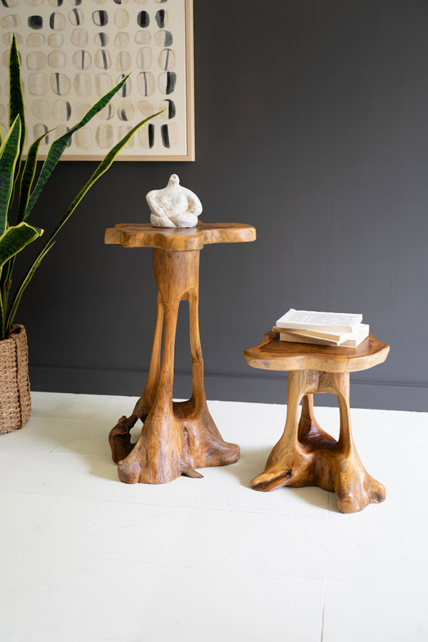SET OF TWO ORGANIC TEAKWOOD ACCENT TABLES
