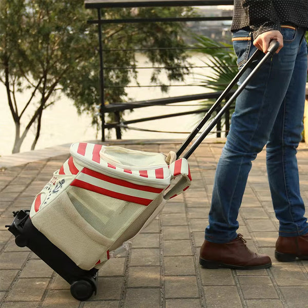 Foldable portable carts: wheel, luggage, hand truck, trolley, travel - shopping, household.