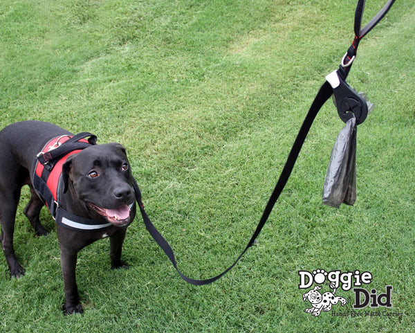 Doggie Did Hands-Free Waste Carrier - Gifts for You 'n Me