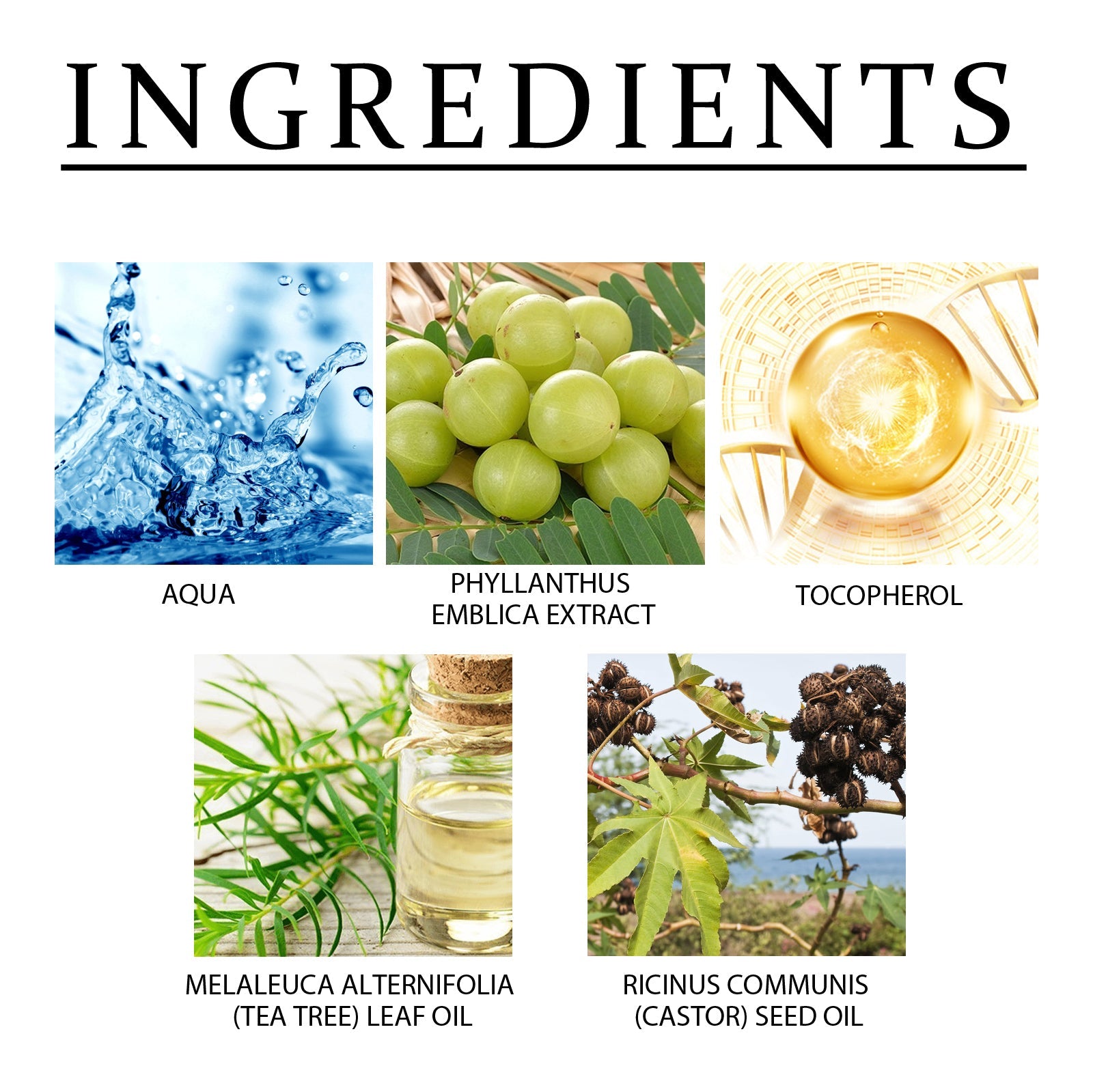 Amla Anti Hair Thinning Shampoo, Scalp Cleanness Moist Smooth Shiny Hair, Dense Hair Wash Protect Suits