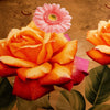Dolce Mela Queen 6 Piece Luxury Floral Bedding Duvet Cover Set - Eden