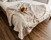 PupProtector™ Summer Short Fur Waterproof Throw Blanket - White with Brown Accents