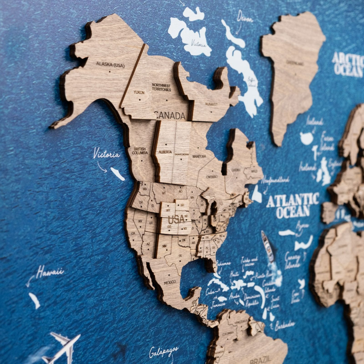 3D Wooden Panel World Map Terra