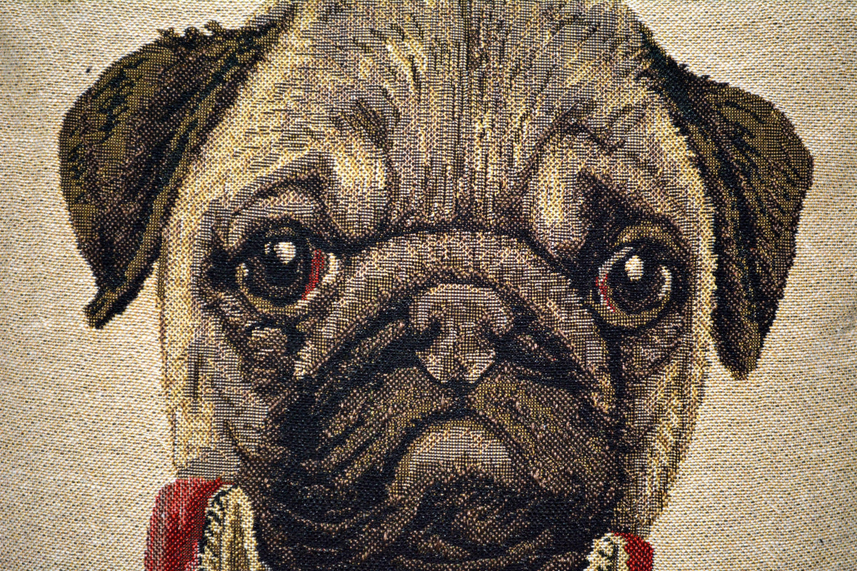 Tache Napoleon Bowaparte Vintage Tapestry Throw Pillow Cover (CC-6011)