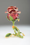 Valentine Red Rose