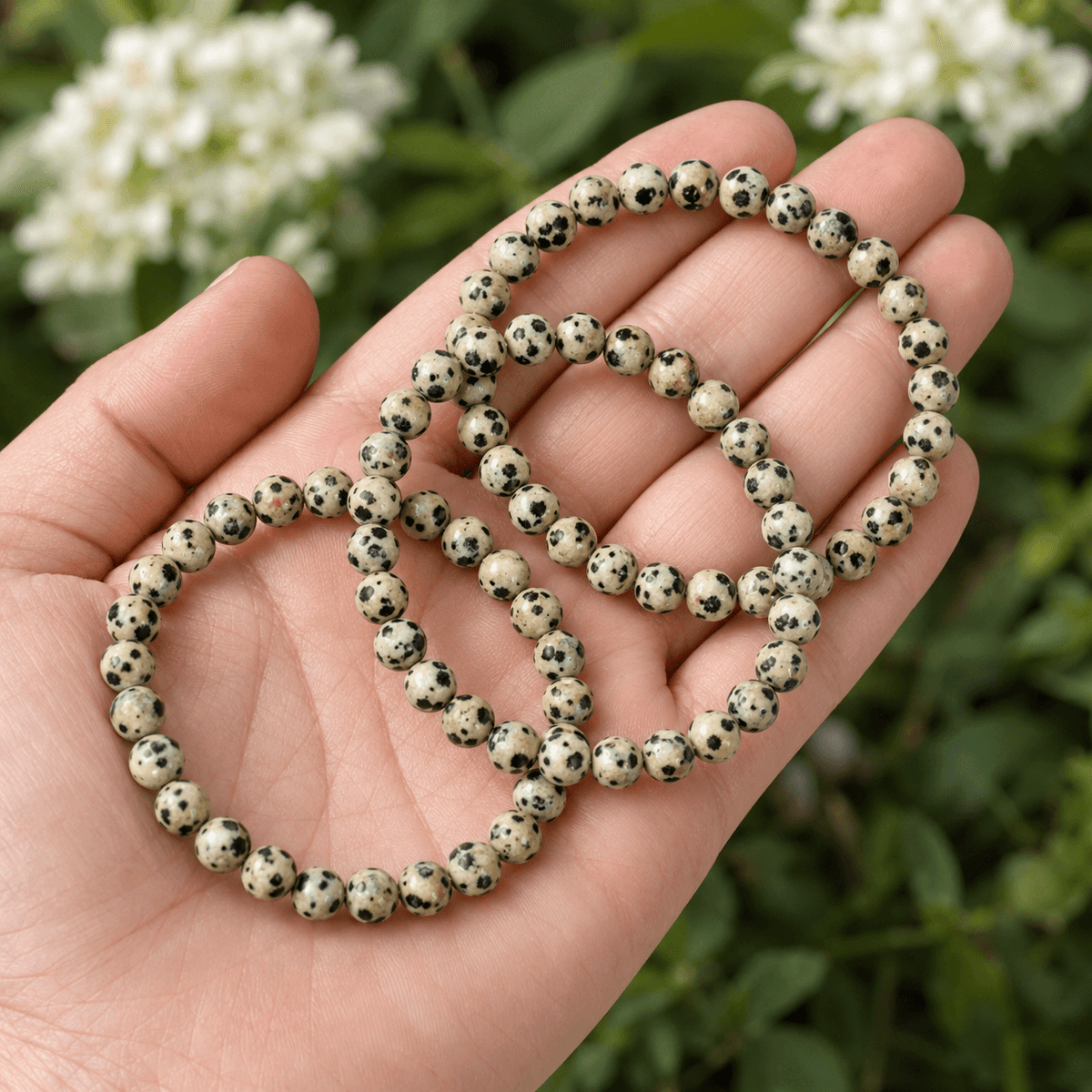Dalmatian Jasper Bracelet | Dalmatian Stone Bracelet (Altruism and Past Life Recall)