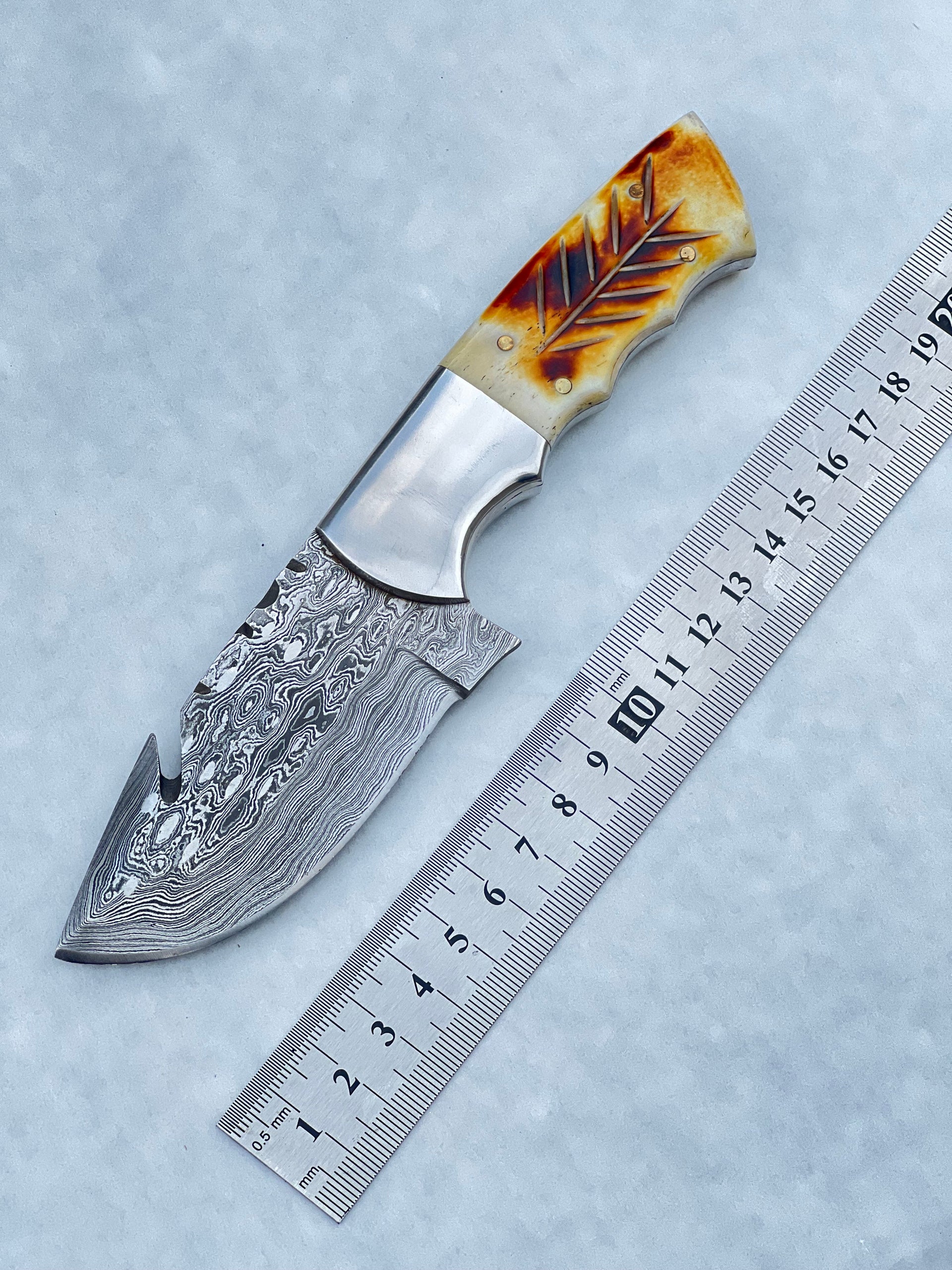 Damascus Steel Fixed Blade Knife with Camel Bone & Rosewood Handle - 7.5
