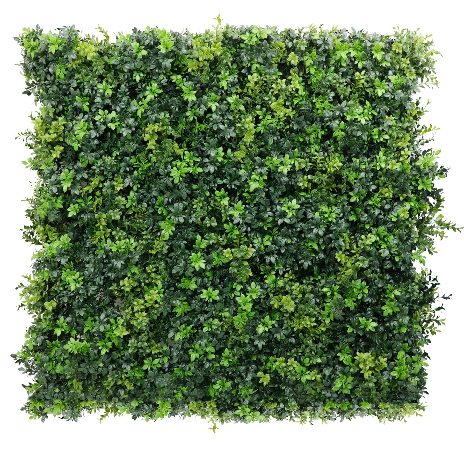 Dark Green Dense Boxwood Artificial Vertical Garden Green Wall Panel 40×40in 11 SQ FT – NFPA701 Fire Rated – Metal Backed – UV Resistant – Commercial Grade