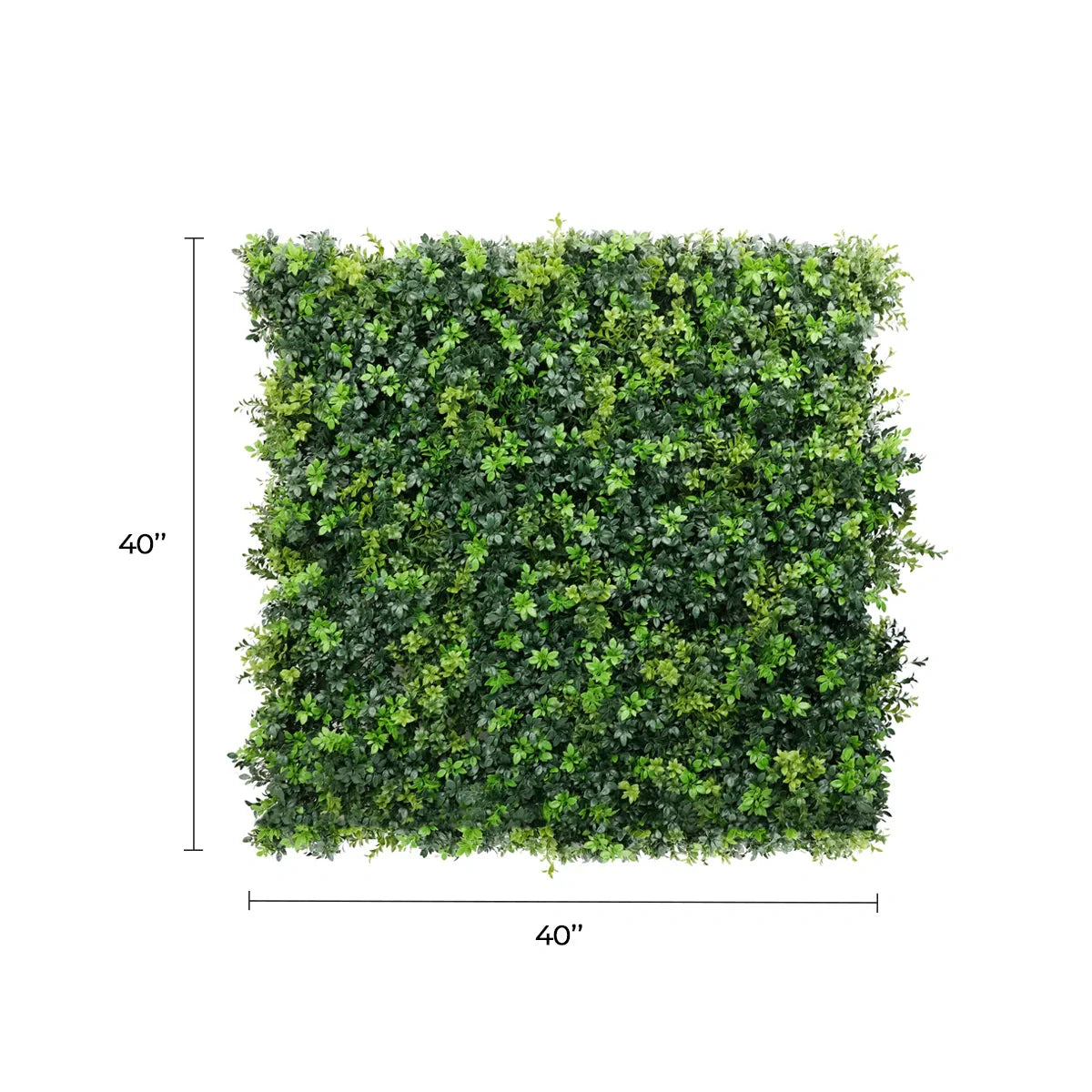 Dark Green Dense Boxwood Artificial Vertical Garden Green Wall Panel 40×40in 11 SQ FT – NFPA701 Fire Rated – Metal Backed – UV Resistant – Commercial Grade