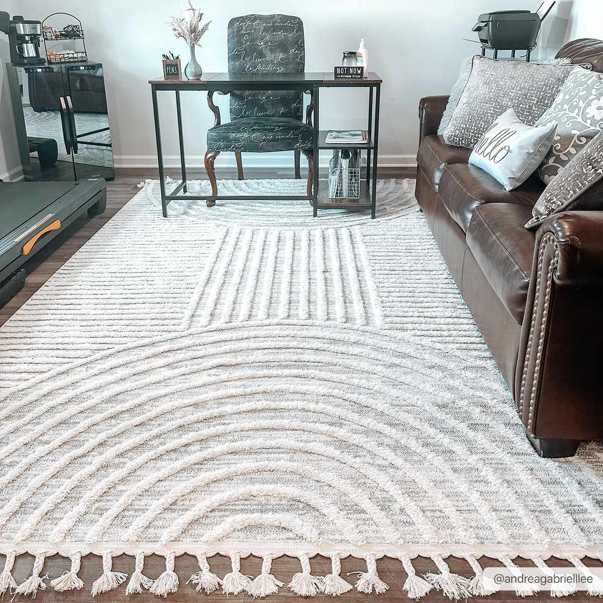 Dauin 3D Rainbow Area Rug with Tassels
