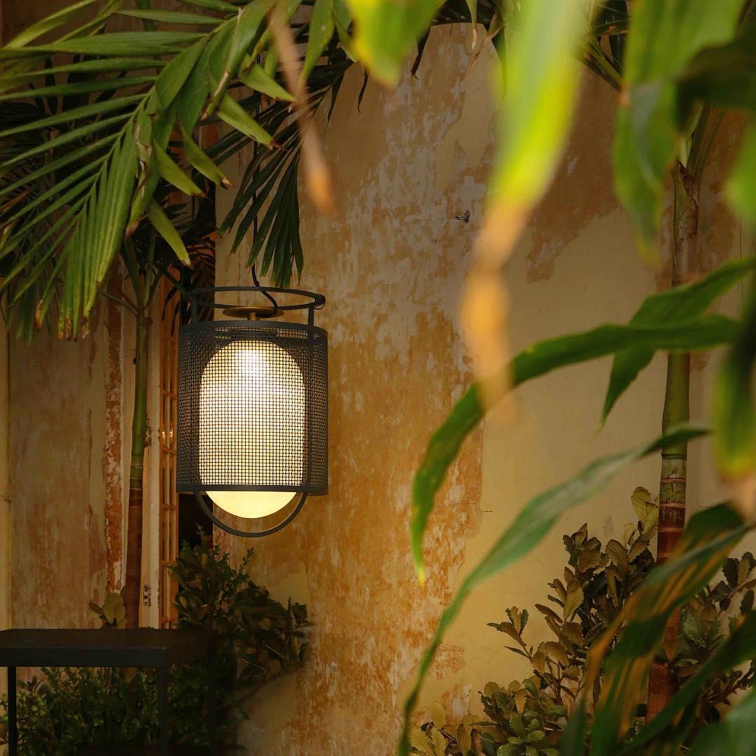 Denglong T Pendant Lamp 9.8