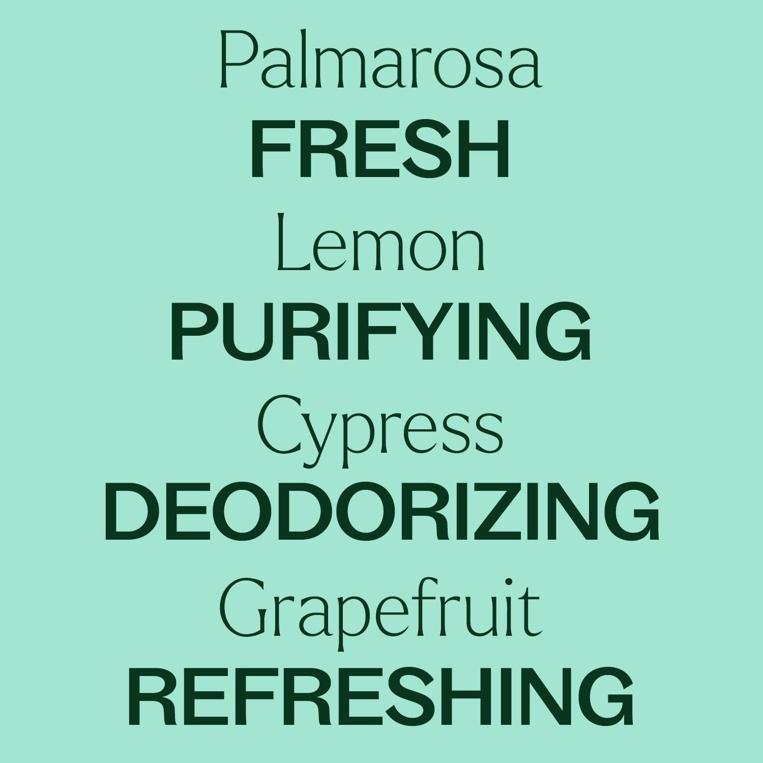 Deodorizing Powder