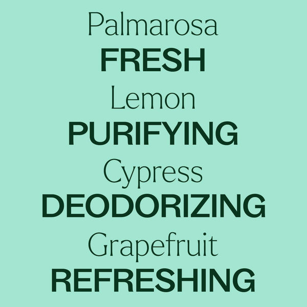 Deodorizing Powder
