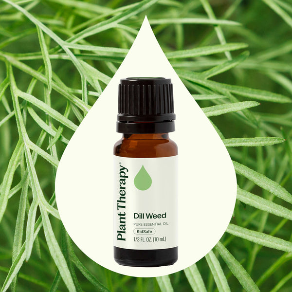Dill Weed Essential Oil