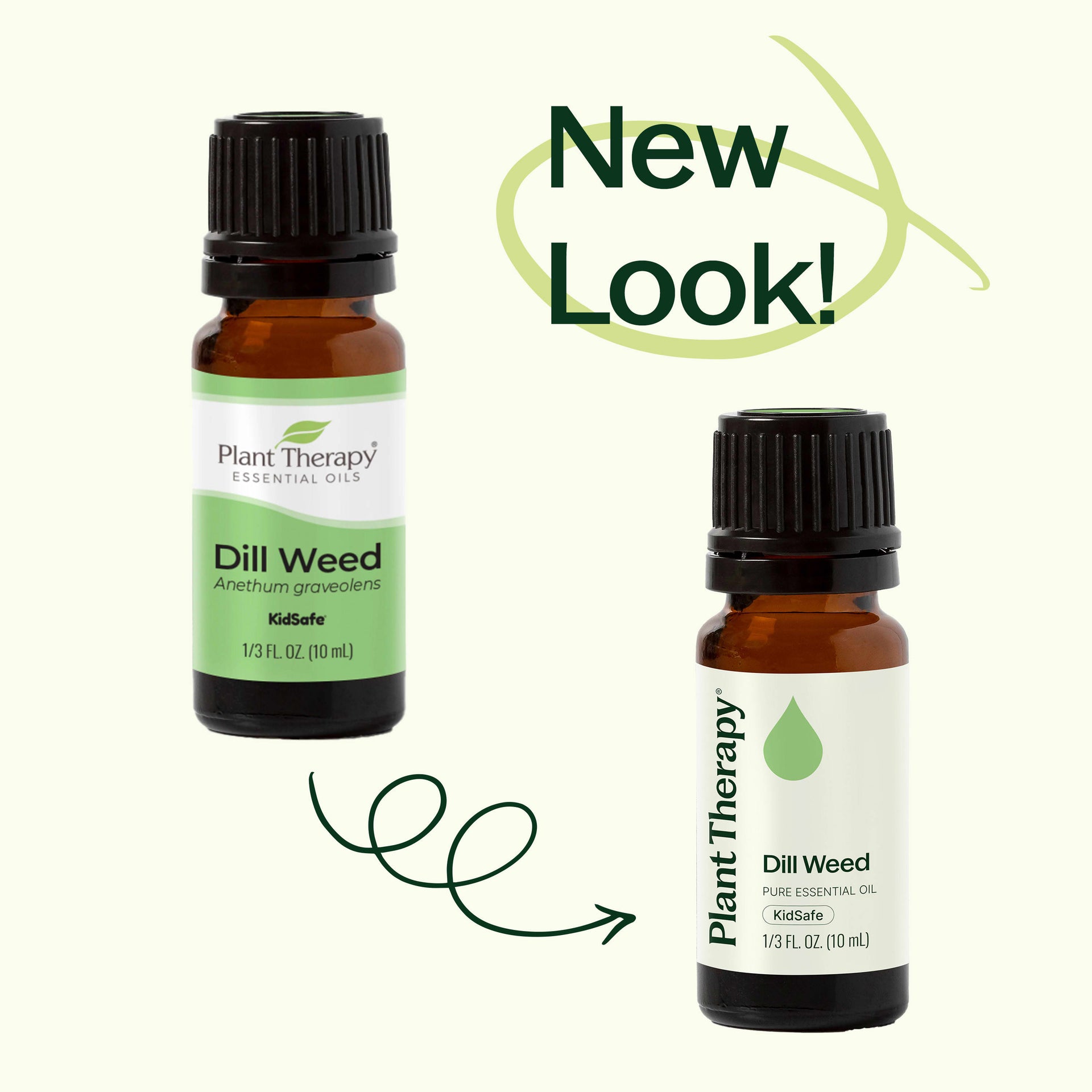 Dill Weed Essential Oil