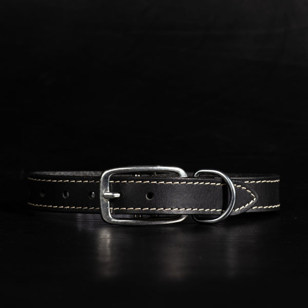 Trailblazer - Brown Stitched Premium Leather Dog Collar - Made in Canada NAB Leather
