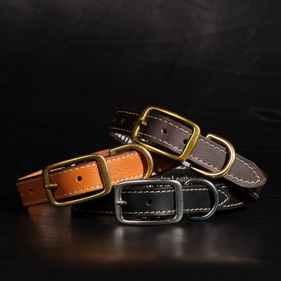 Trailblazer - Black Stitched Premium Leather Dog Collar - Made in Canada