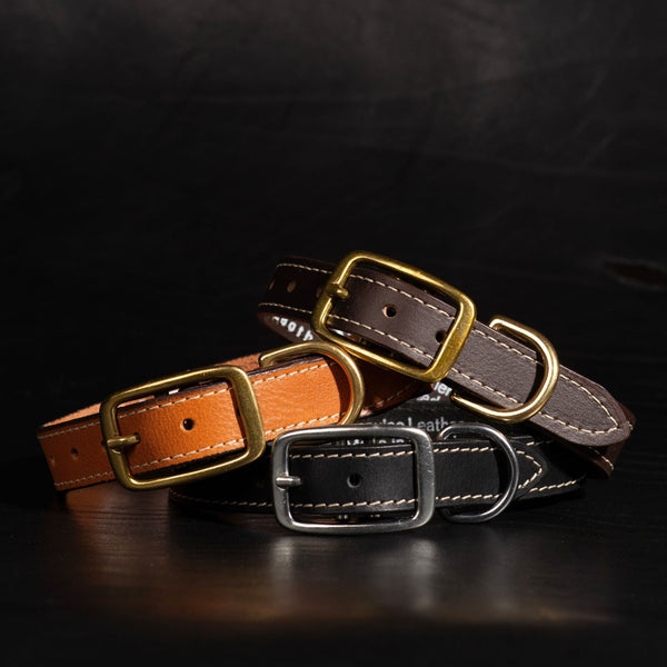 Trailblazer - Brown Stitched Premium Leather Dog Collar - Made in Canada NAB Leather