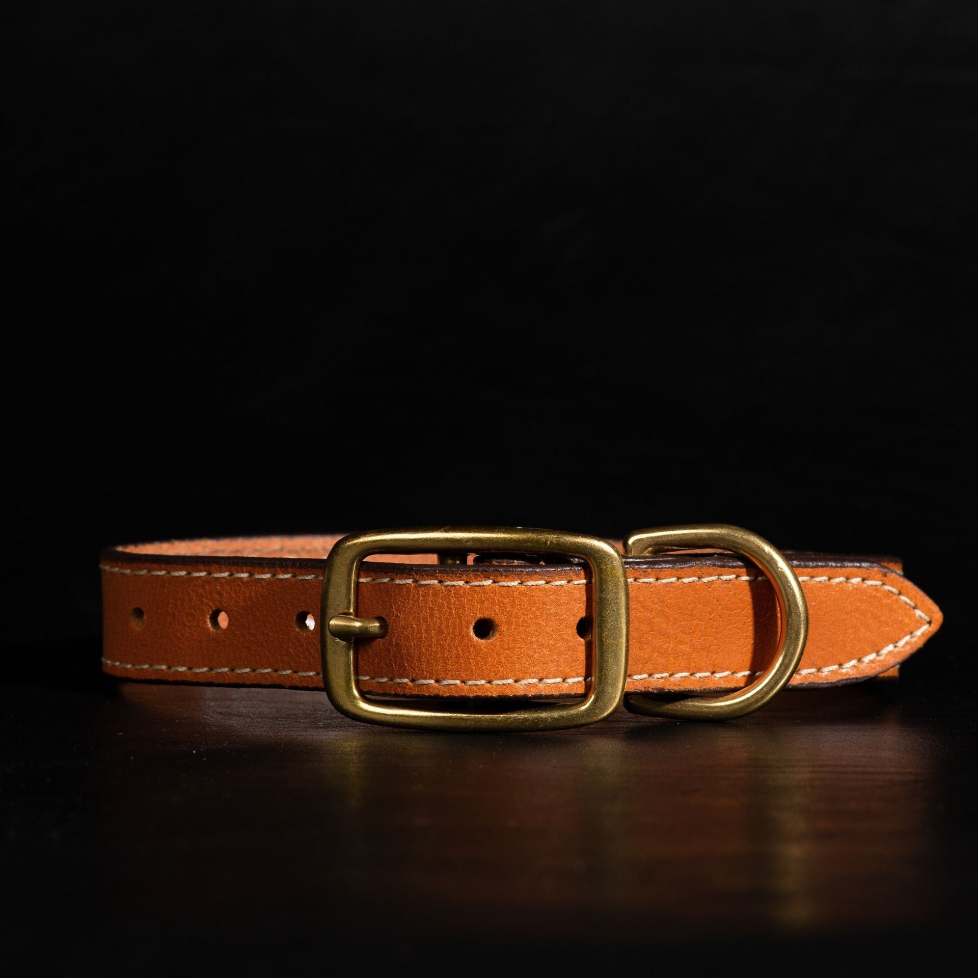 Trailblazer - Brown Stitched Premium Leather Dog Collar - Made in Canada NAB Leather