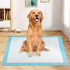 Dog and Puppy Pee Pads 36