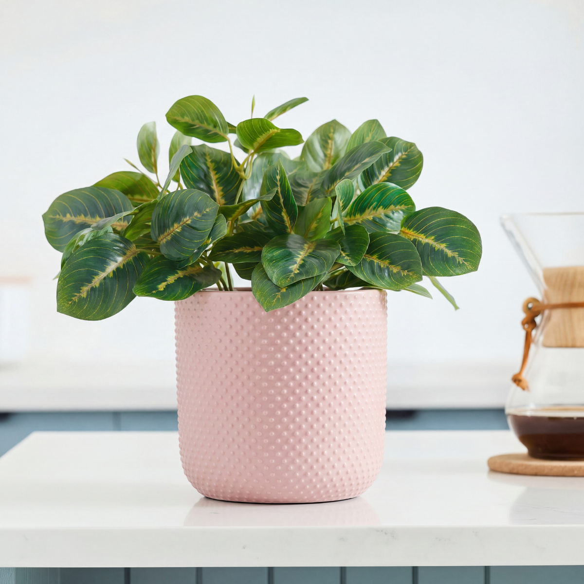 Dotted Cylinder Planter (No Saucer)