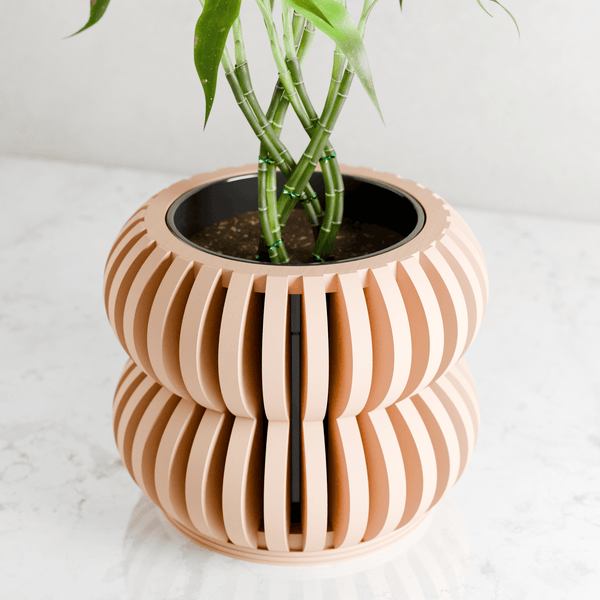 Orchid Planter DOUBLE BUBBLES