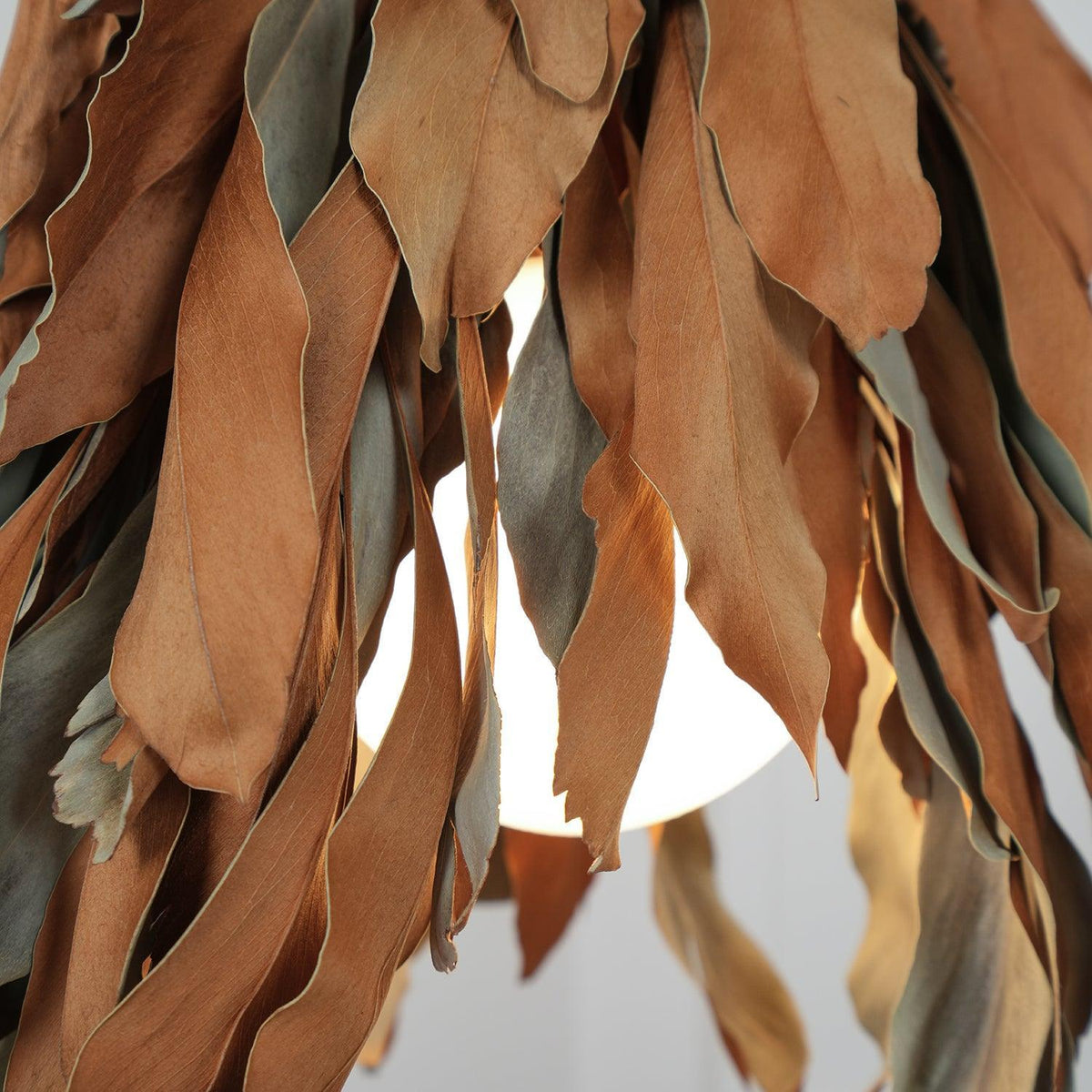 Double Sided Leaf Pendant Lamp 13.8