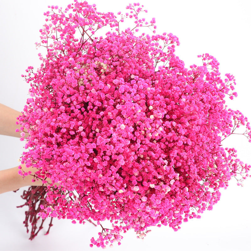 1 Bundle Dried Baby's Breath Gypsy Flowers for Wedding Floral Arrangement Home Party Decor