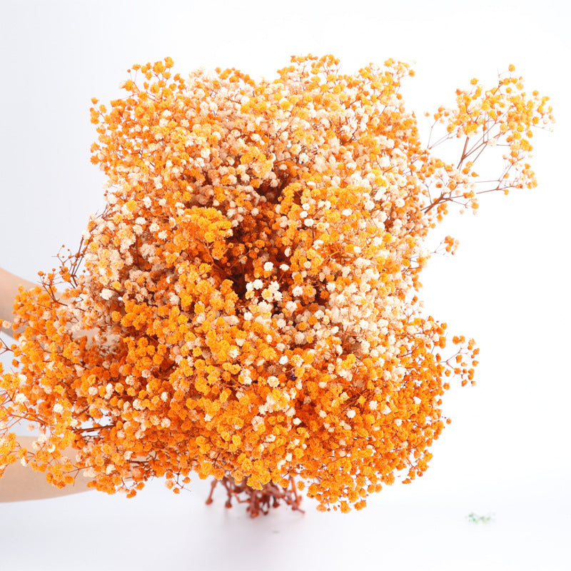 1 Bundle Dried Baby's Breath Gypsy Flowers for Wedding Floral Arrangement Home Party Decor