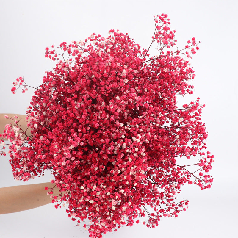 1 Bundle Dried Baby's Breath Gypsy Flowers for Wedding Floral Arrangement Home Party Decor