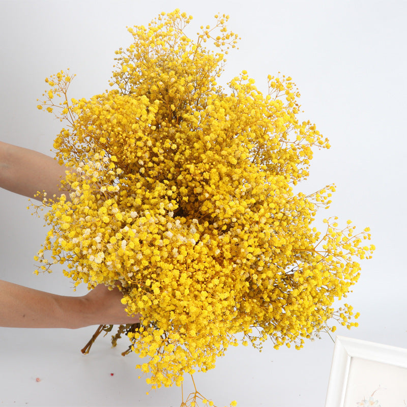 1 Bundle Dried Baby's Breath Gypsy Flowers for Wedding Floral Arrangement Home Party Decor