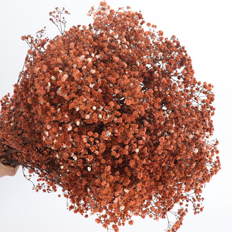 1 Bundle Dried Baby's Breath Gypsy Flowers for Wedding Floral Arrangement Home Party Decor