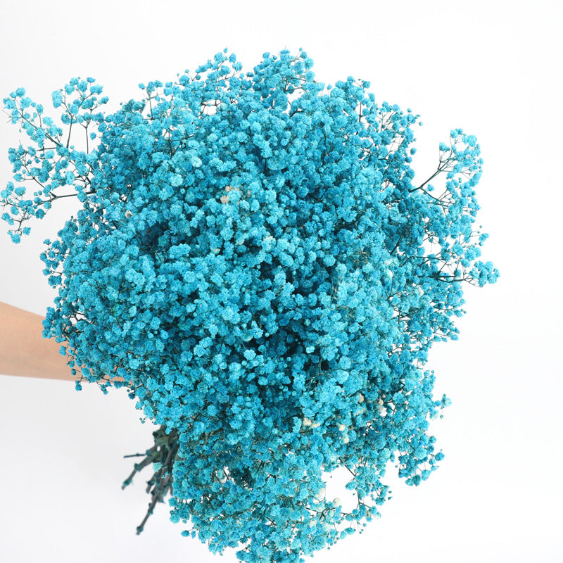 1 Bundle Dried Baby's Breath Gypsy Flowers for Wedding Floral Arrangement Home Party Decor