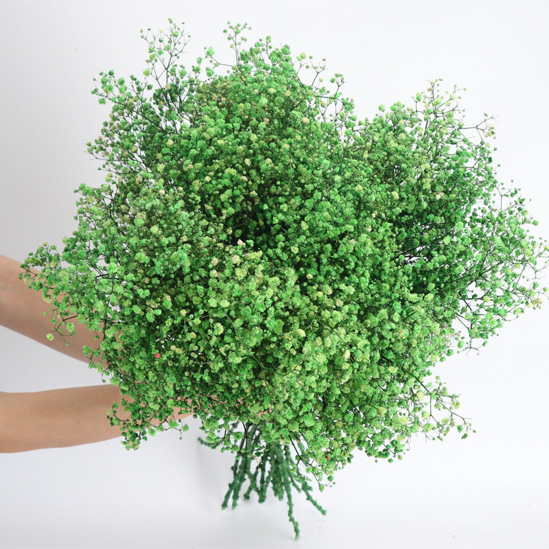 1 Bundle Dried Baby's Breath Gypsy Flowers for Wedding Floral Arrangement Home Party Decor