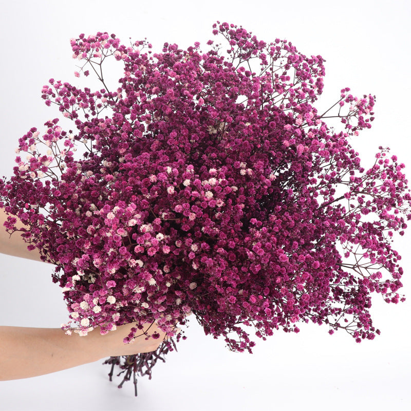 1 Bundle Dried Baby's Breath Gypsy Flowers for Wedding Floral Arrangement Home Party Decor