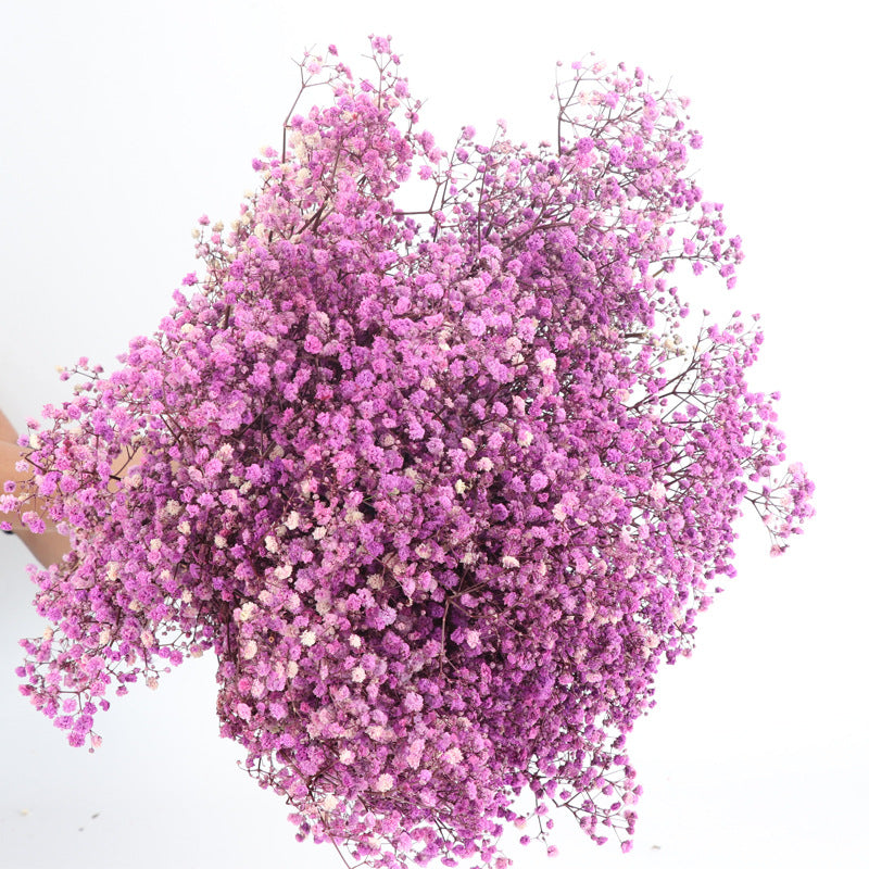 1 Bundle Dried Baby's Breath Gypsy Flowers for Wedding Floral Arrangement Home Party Decor