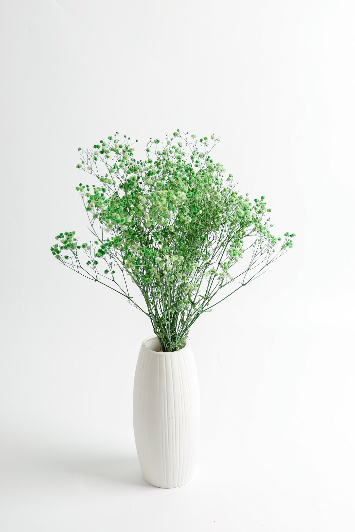 1 Bundle Dried Baby's Breath Gypsy Flowers for Wedding Floral Arrangement Home Party Decor