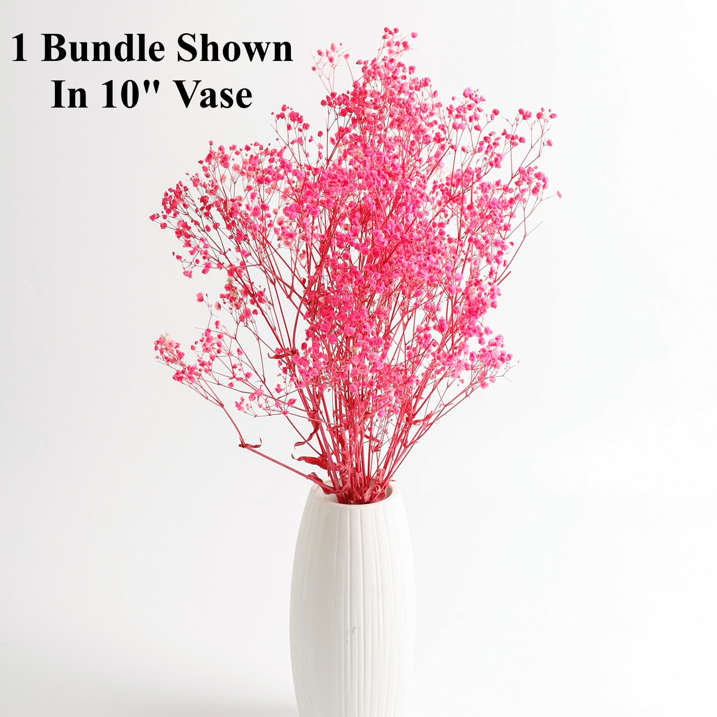 1 Bundle Dried Baby's Breath Gypsy Flowers for Wedding Floral Arrangement Home Party Decor